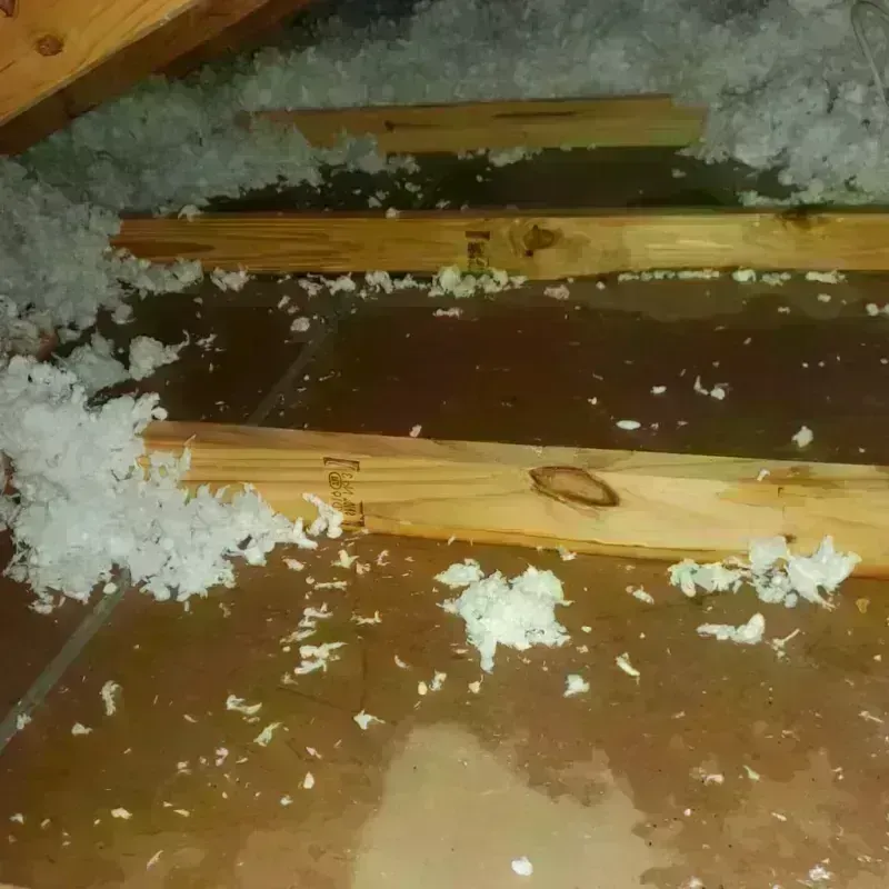 Attic Water Damage in Coplay, PA